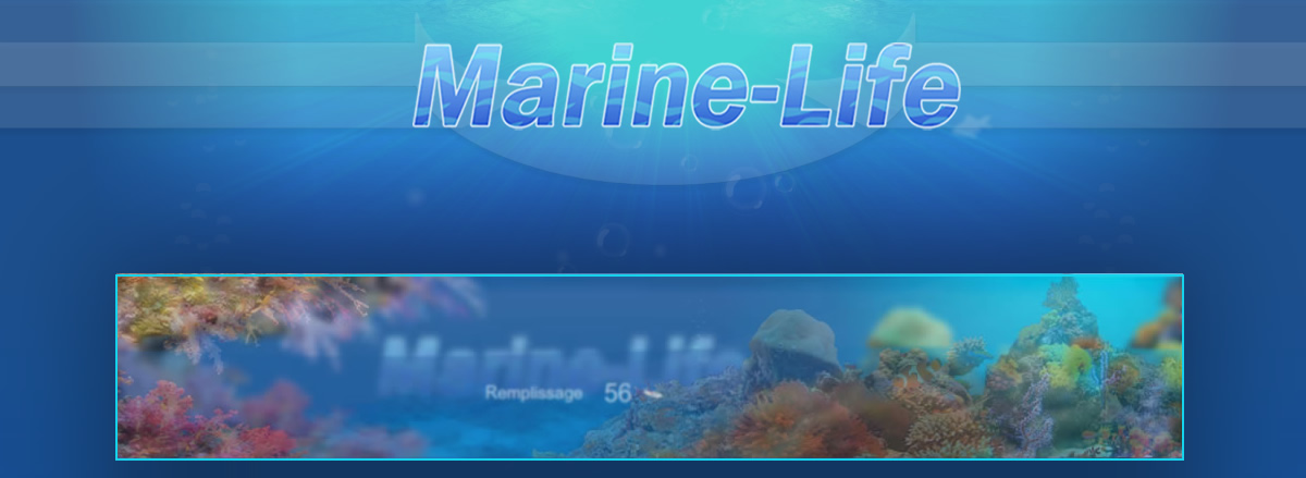 Marine Life Header