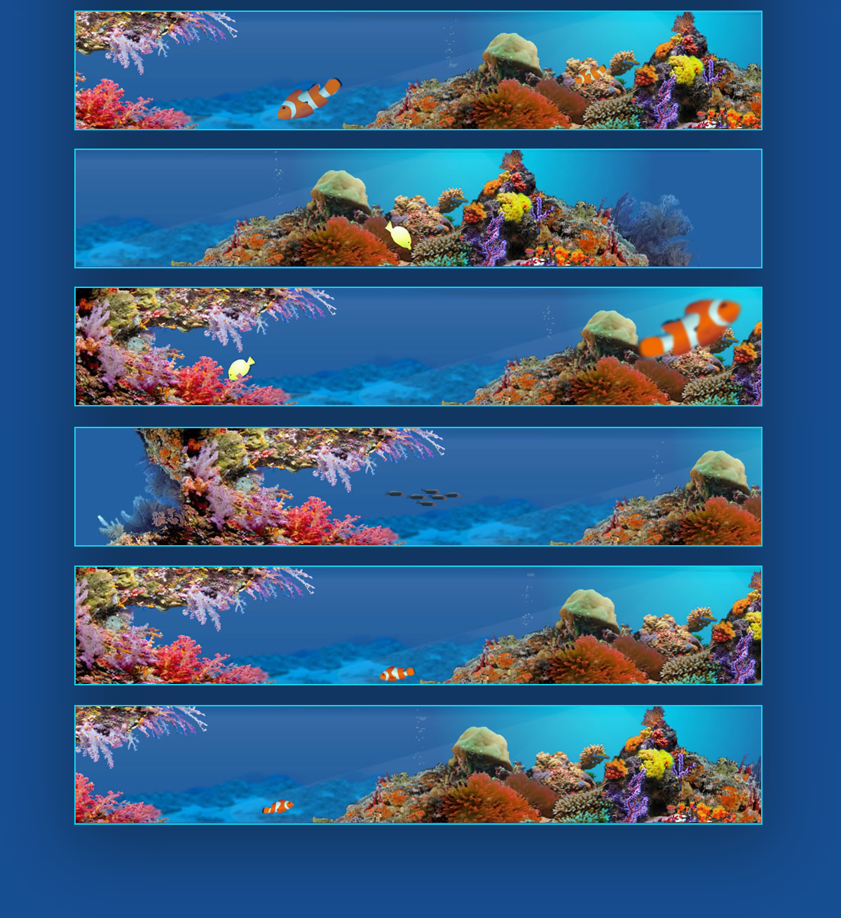 Marine Life Banners