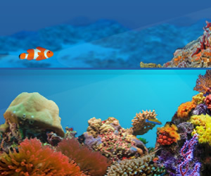 Marine Life aquarium virtuel